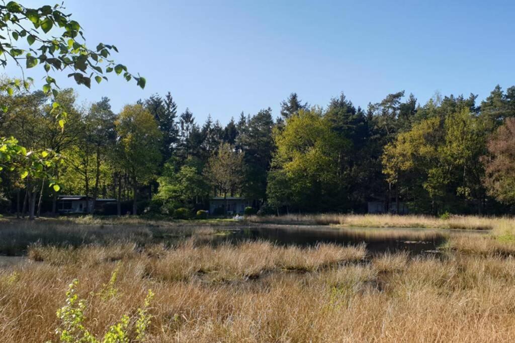 Drentse Bungalow In Natuur En Rust Spier Exterior foto