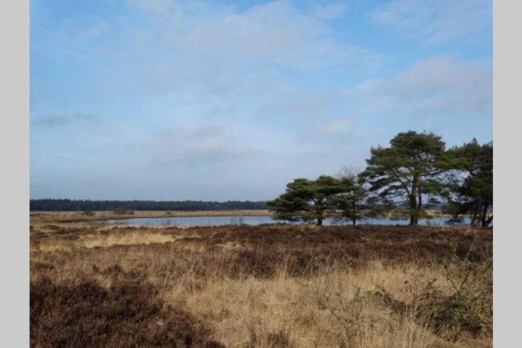 Drentse Bungalow In Natuur En Rust Spier Exterior foto