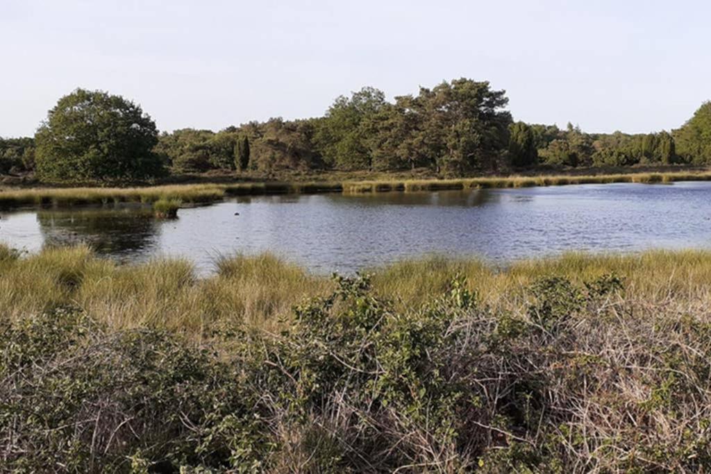 Drentse Bungalow In Natuur En Rust Spier Exterior foto