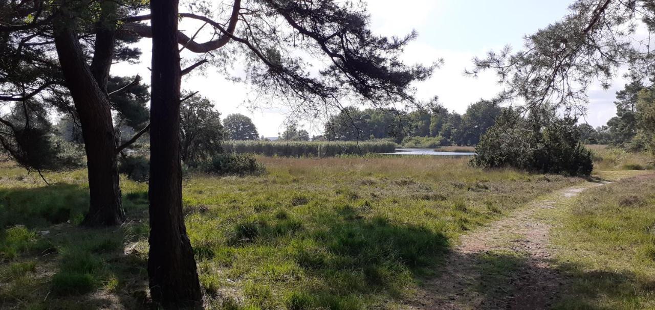 Drentse Bungalow In Natuur En Rust Spier Exterior foto