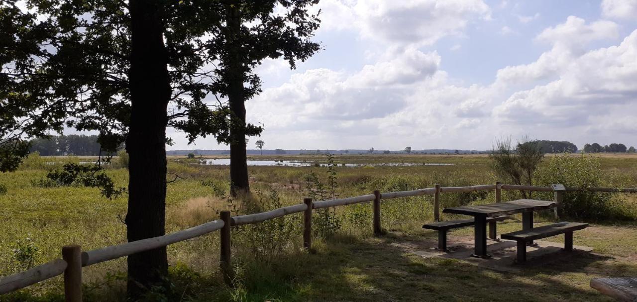 Drentse Bungalow In Natuur En Rust Spier Exterior foto