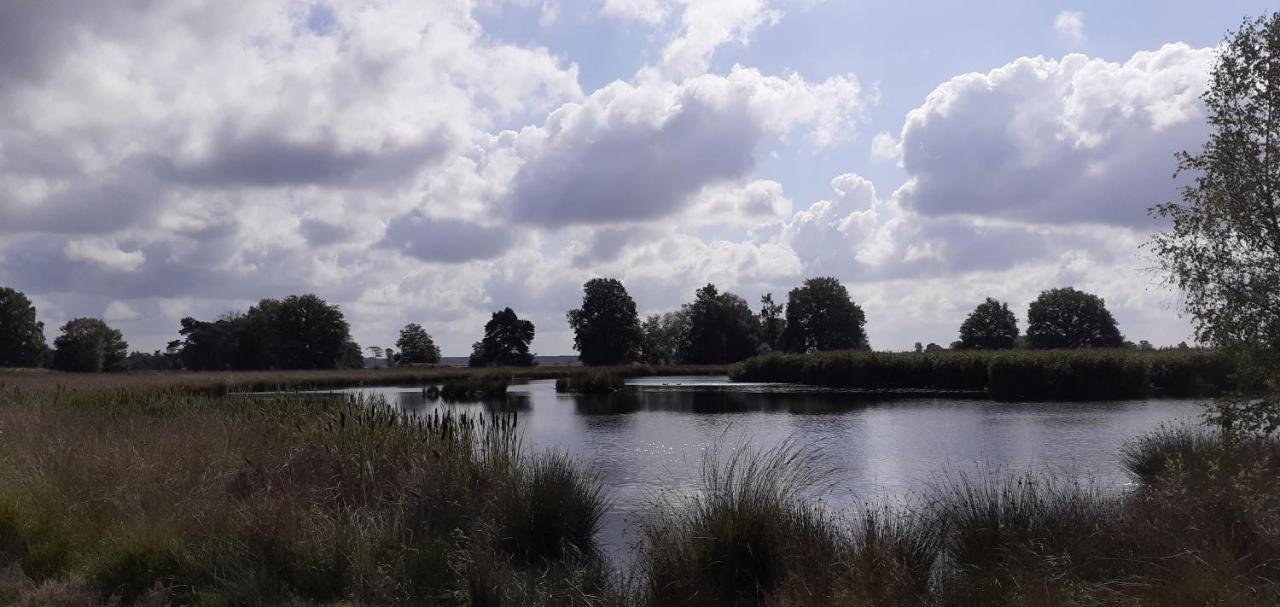 Drentse Bungalow In Natuur En Rust Spier Exterior foto