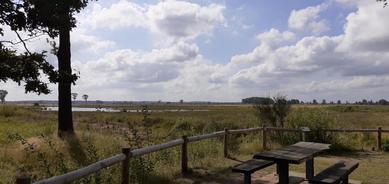 Drentse Bungalow In Natuur En Rust Spier Exterior foto