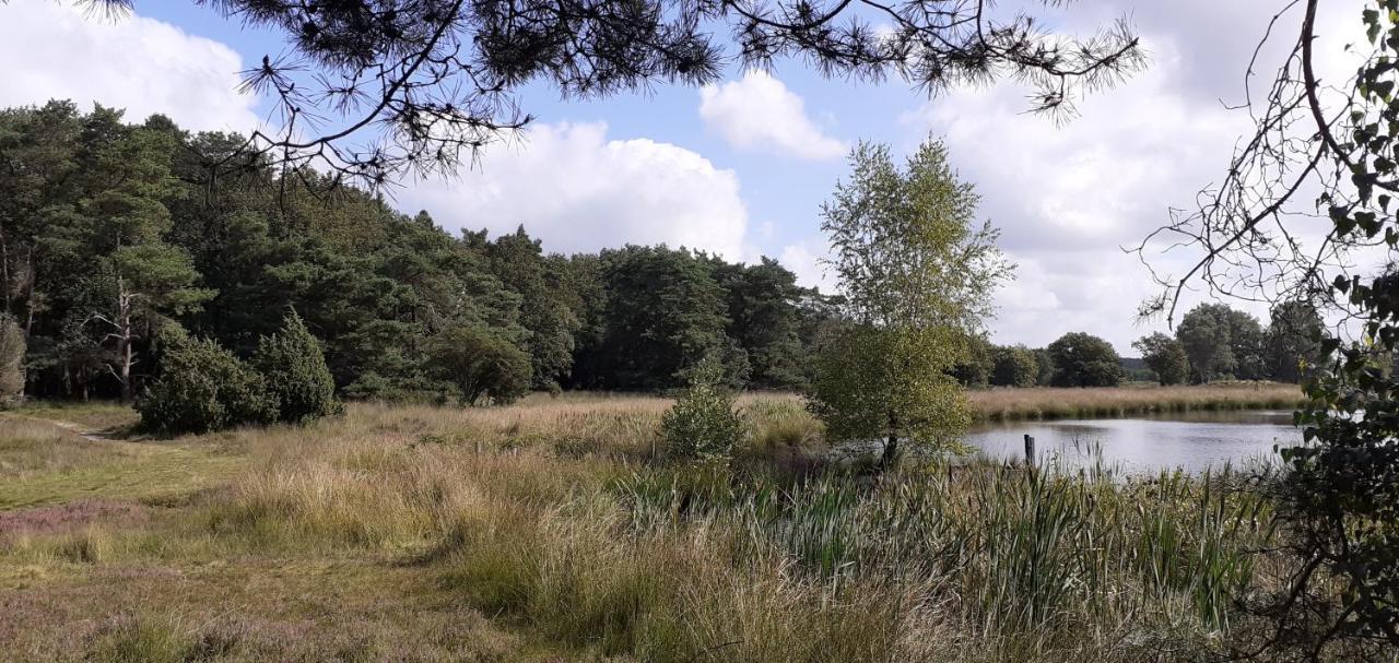 Drentse Bungalow In Natuur En Rust Spier Exterior foto