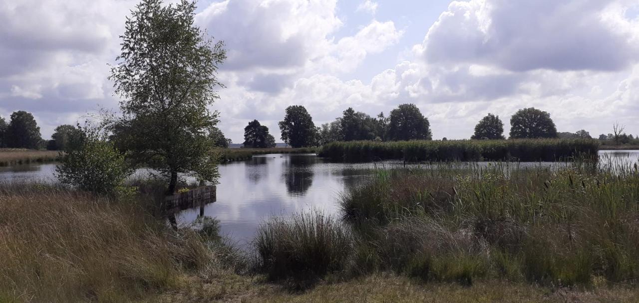 Drentse Bungalow In Natuur En Rust Spier Exterior foto