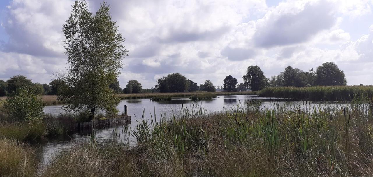 Drentse Bungalow In Natuur En Rust Spier Exterior foto