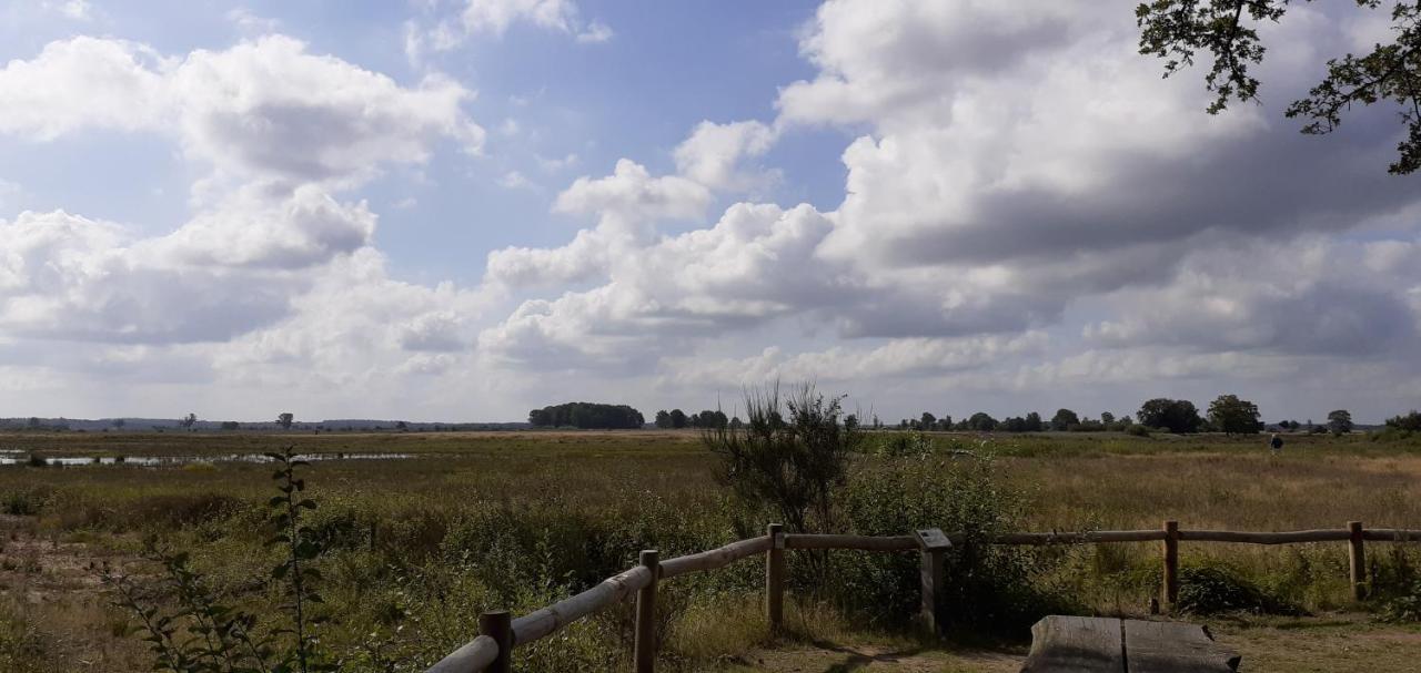 Drentse Bungalow In Natuur En Rust Spier Exterior foto