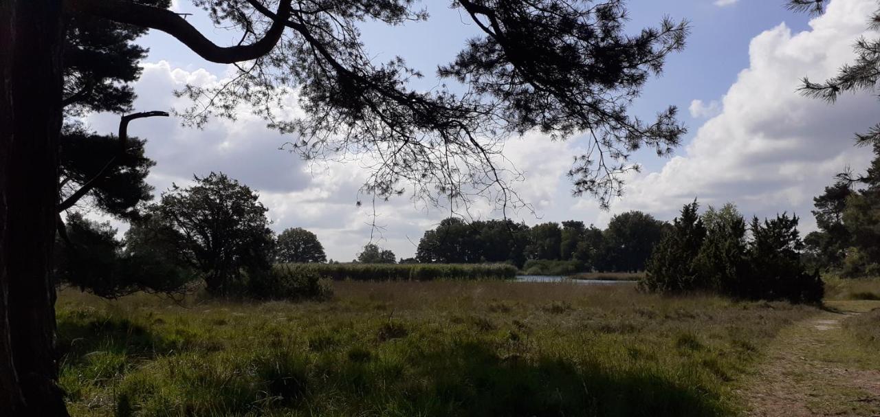 Drentse Bungalow In Natuur En Rust Spier Exterior foto